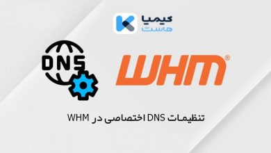 dns اختصاصی
