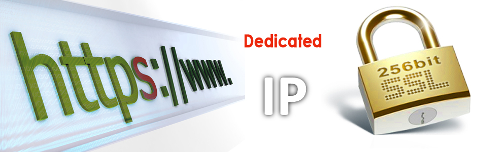 تاثیر IP اختصاصی روی سئو سایت