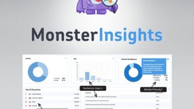 افزونه MonsterInsights