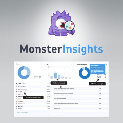 افزونه MonsterInsights