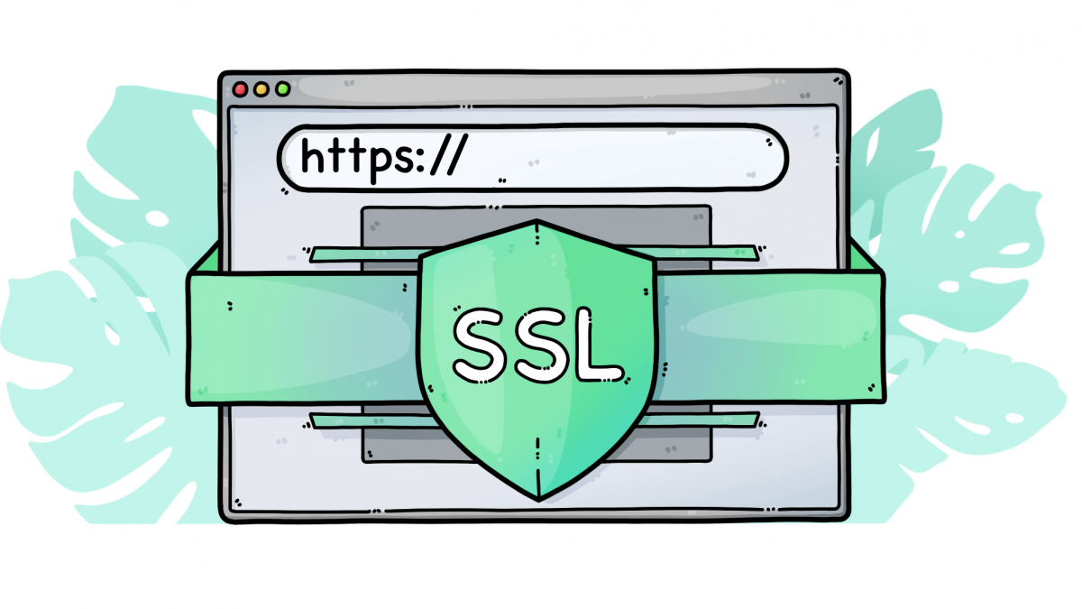 ssl چیست
