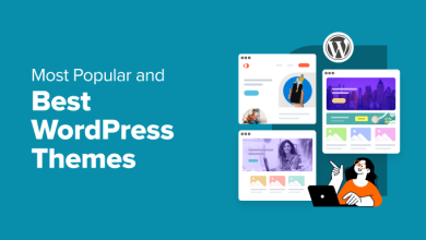 بهترین قالب وردپرس 2025