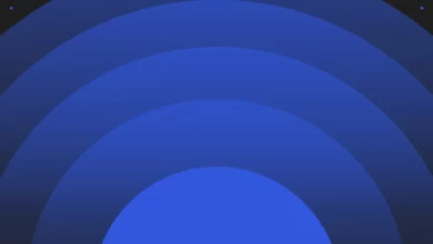 وردپرس استودیو