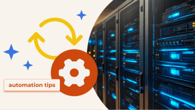 مدیریت کسب‌وکار هاستینگ