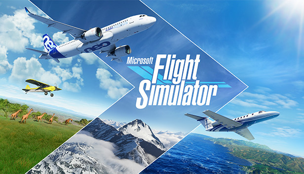 بازی Microsoft Flight Simulator