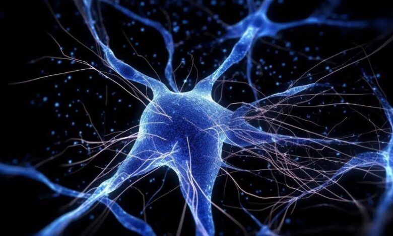 انقلابی در بازسازی نورون‌های مغز