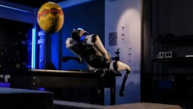 سگ رباتیک در اروپا