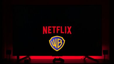 ادغام نتفلیکس و برادران وارنر